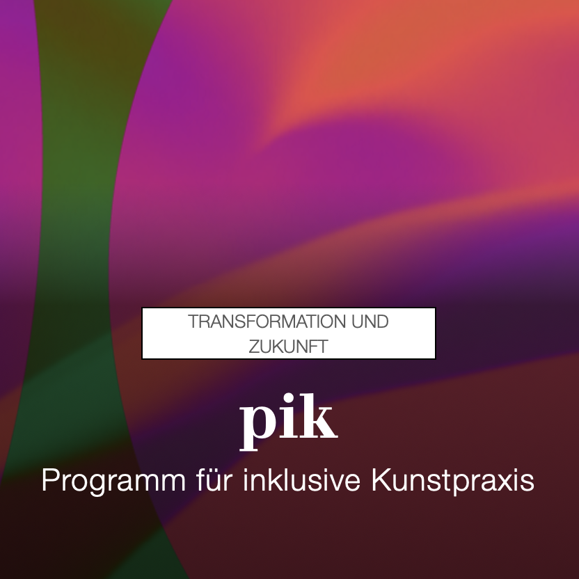 Logo des pik-Mentoring-Programms für Disabled Leadership