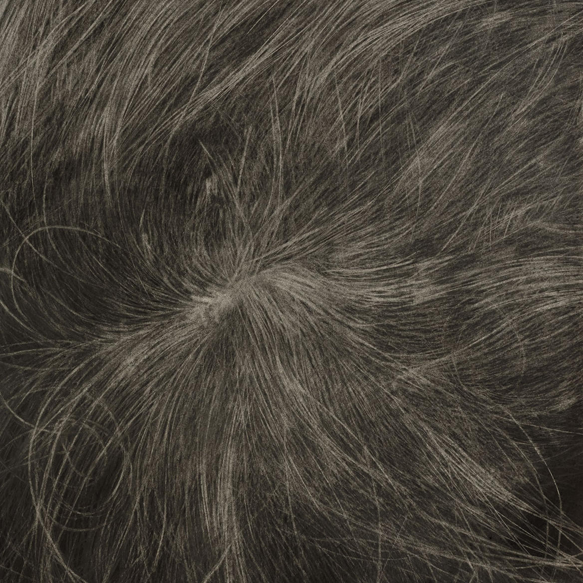 Ausschnitt einer Zeichnung von Juewen Zhang. Es wurde mit Kohle und Bleistift auf Papier gearbeitet. Zu sehen ist eine Fotorealistische Zeichnung eines Haarwirbels. 