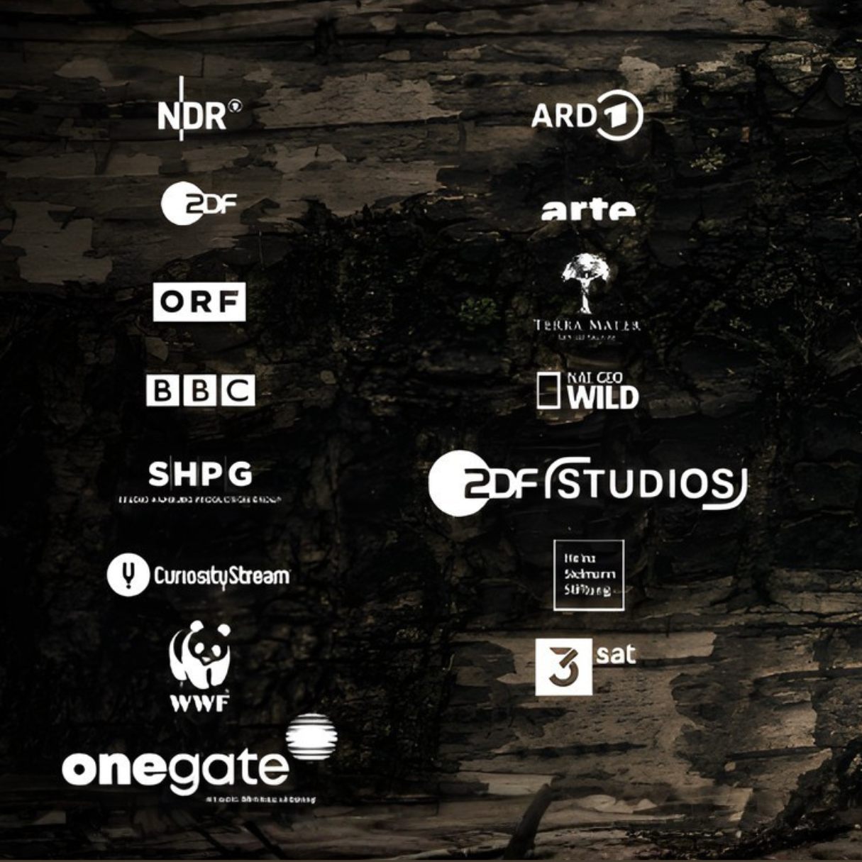 Übersicht mit Logos von Medienpartnern wie ARD, ZDF, arte und BBC.