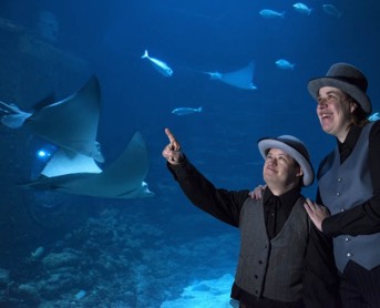 Eine kleine und eine große Person mit Hüten stehen vor einem Aquarium